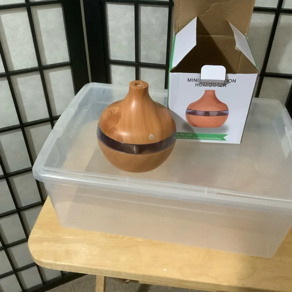 NWT Mini Humidifier Atomizer